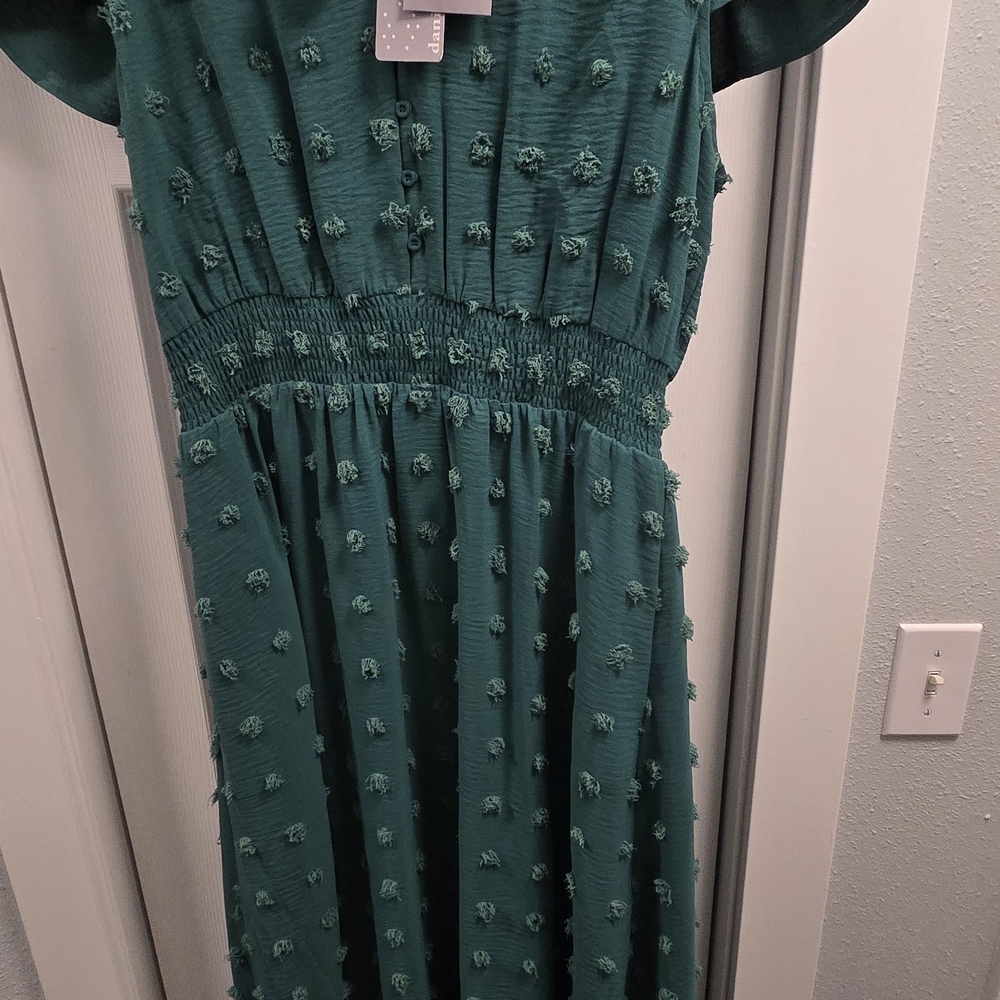 Daniel Rainn Teal Maxi Dress